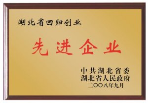 湖北省回歸創(chuàng)業(yè)先進(jìn)企業(yè)