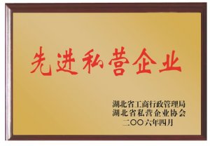 先進(jìn)私營企業(yè)