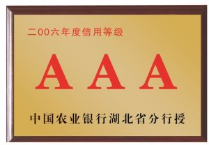 中國農(nóng)業(yè)銀行湖北省分行2006年度信用等級AAA